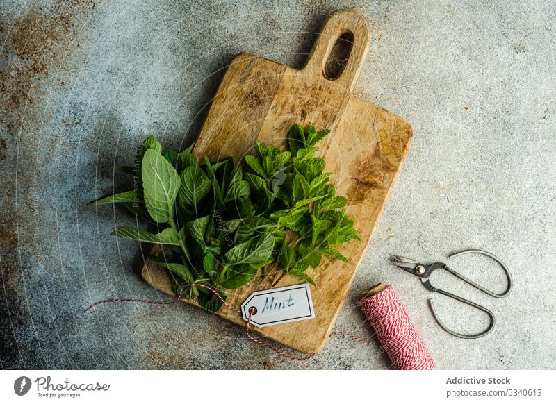 Frische küchenfertige Minzpflanze Hintergrund binden Blumenstrauß Koch Essen zubereiten Schneidebrett Diät essen Lebensmittel frisch grün Gesundheit heiß Keton