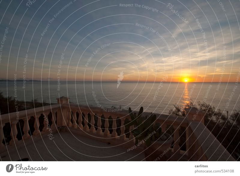 Der Meerblick ist wieder da Umwelt Natur Urelemente Luft Wasser Himmel Horizont Sonnenaufgang Sonnenuntergang Sommer Schönes Wetter Wärme Balkon Terrasse