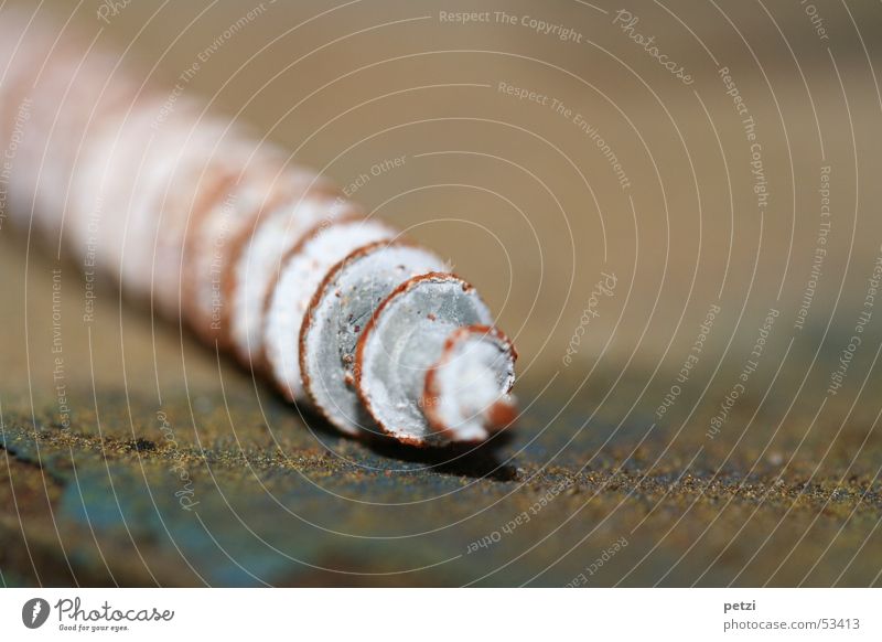 Er hat nicht gebohrt Bohrmaschine Rost Spitze blau grau Spirale Schraube Drehung Garage Hobelbank Drehgewinde öflecken Farbfoto mehrfarbig Detailaufnahme