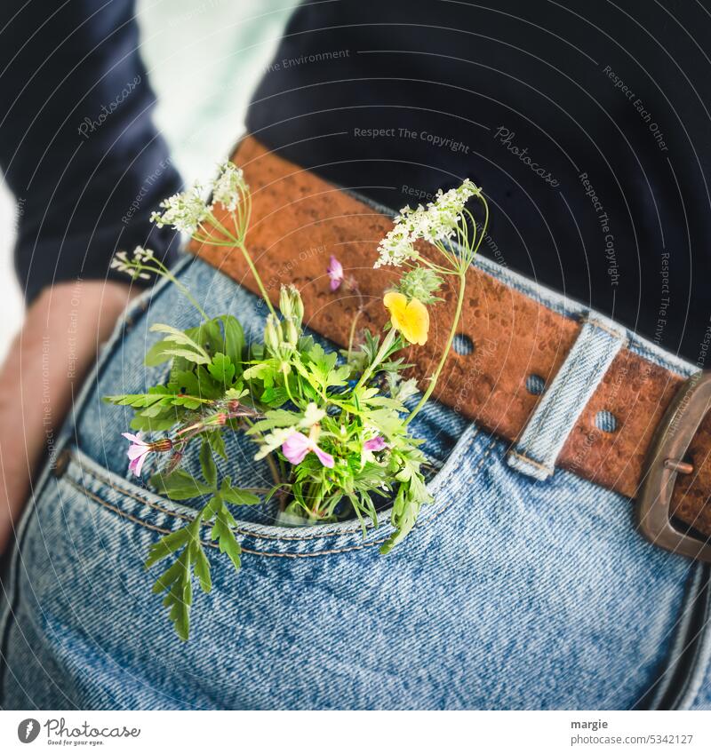 Wiesenblumen in der Hosentasche Blumenstrauß Jeanshose Jeanstasche Gürtel Frau Bekleidung blau Jeansstoff Stoff Detailaufnahme Kleidungsstück Naht