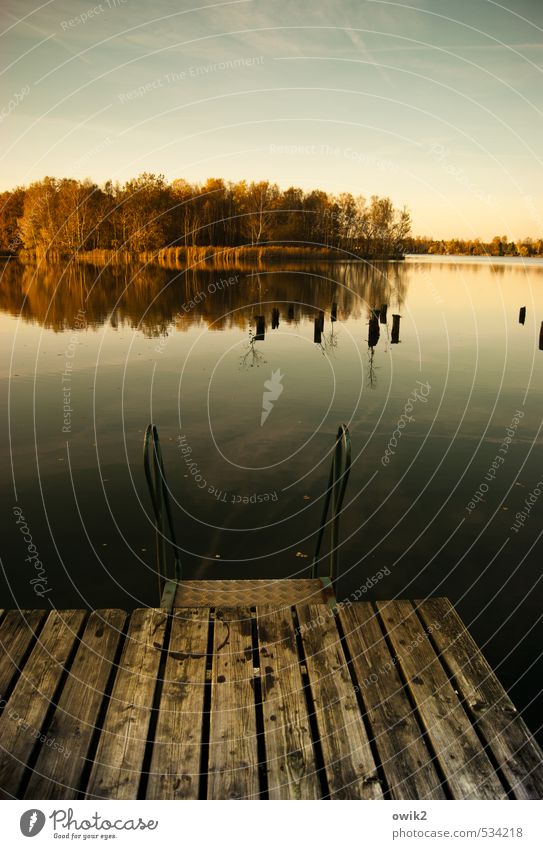 Olba Umwelt Natur Landschaft Wasser Wolkenloser Himmel Horizont Herbst Klima Wetter Schönes Wetter Pflanze Baum Seeufer Insel Holz Metall Idylle Freibad Badeort