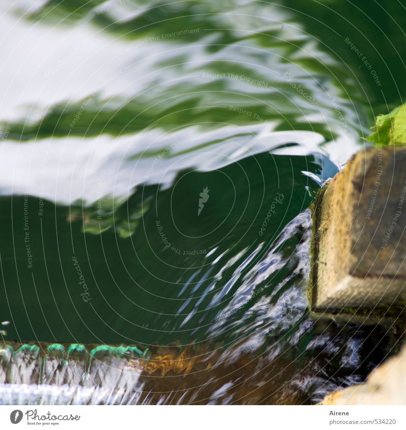 umspült Wasserkraftwerk Natur Fluss Bach Staustufe Flußwehr Menschenleer Brücke Pfosten Holz Flüssigkeit Geschwindigkeit grün weiß gefährlich Bewegung