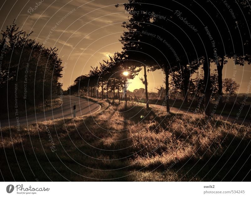 Nordkurve Umwelt Natur Landschaft Pflanze Himmel Wolken Horizont Herbst Klima Wetter Schönes Wetter Baum Gras Sträucher Straße Wege & Pfade Kurve leuchten