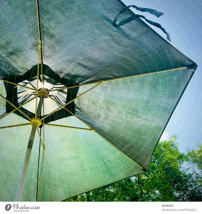 Grüner Sonnenschirm im Gegenlicht mit Bäumen Sonnenlicht Sommer Schönes Wetter Himmel Licht grün blau Schutz Sonnenschutz Stoff Gestänge Erholung Sommerurlaub