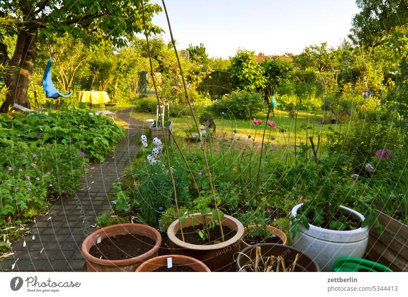 Kleingarten im Abendlicht abend ast baum blühen blüte dämmerung erholung erwachen ferien frühjahr frühling frühlingserwachen hecke himmel kleingarten