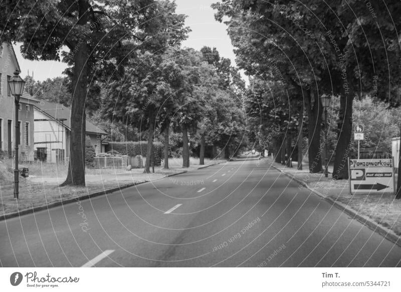 Dorfstraße / Parkplatz rechts s/w Brandenburg Frühling Straße Allee Schwarzweißfoto Außenaufnahme Menschenleer Tag b/w b&w ruhig Einsamkeit