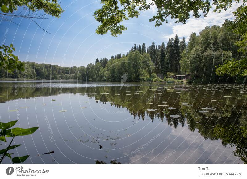 Waldsee See Brandenburg Frühling Reflexion & Spiegelung Himmel Farbfoto Natur Außenaufnahme Wasser Seeufer Menschenleer Landschaft Baum Idylle Tag Umwelt