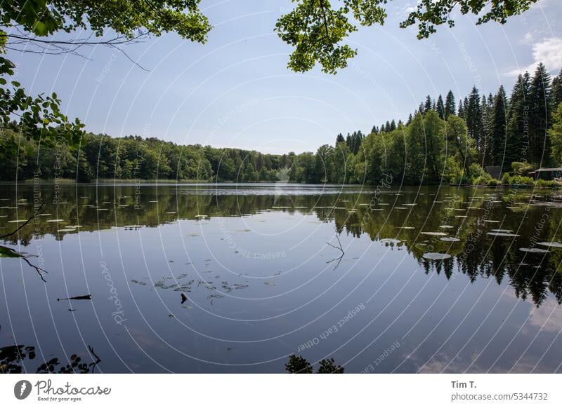 Waldsee Brandenburg Frühling Außenaufnahme Natur See Menschenleer Baum Wasser Farbfoto Seeufer Landschaft Tag Reflexion & Spiegelung Umwelt Wasseroberfläche