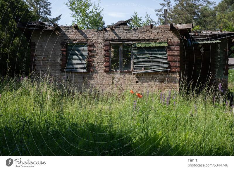 die Fassade eines ausgebrannten Hauses mit Wiese Brandenburg Brandschaden Ruine Sommer Menschenleer Tag Fenster Farbfoto Architektur Außenaufnahme Gebäude