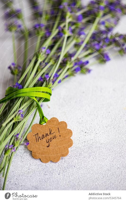 Hohe Winkel der Sommer-Inneneinrichtung mit frischen Lavendelblumen auf dem konkreten Hintergrund blau binden Blumenstrauß Zement Konzept Beton tagsüber geblümt