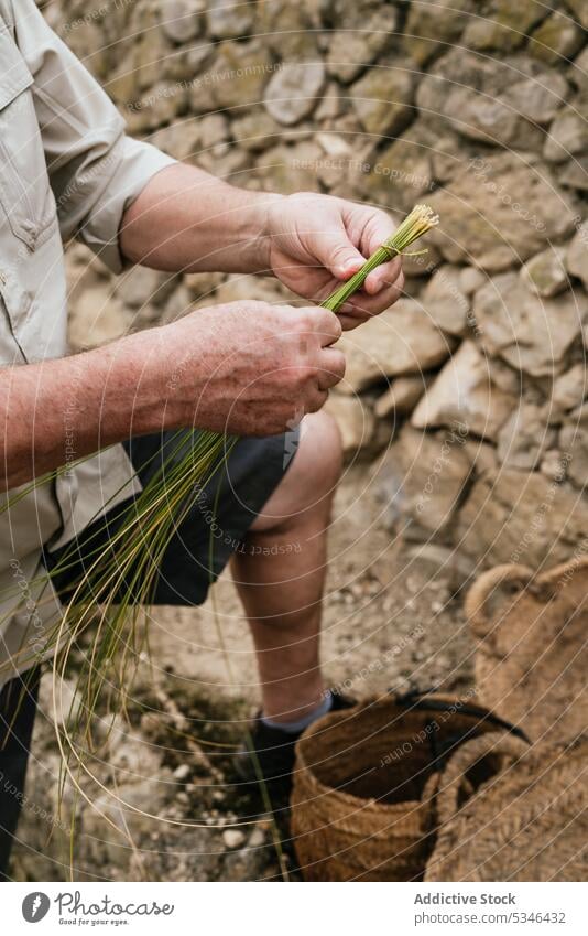 Erntehelfer mit Espartogras beim Korbflechten Mann Weben esparto Gras Kunstgewerbler Landschaft Handwerk Natur Fokus Arbeit Konzentration männlich lässig Sehne