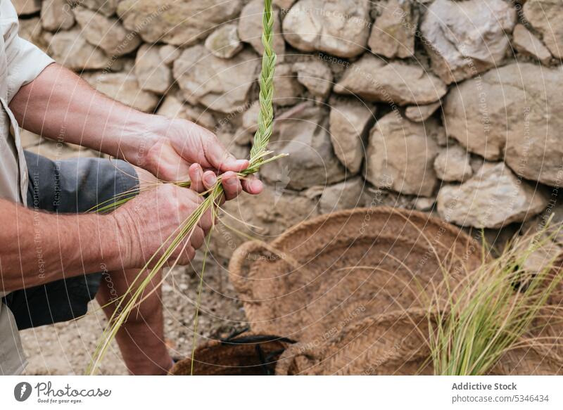 Erntehelfer mit Espartogras beim Korbflechten Mann Weben esparto Gras Kunstgewerbler Landschaft Handwerk Natur Fokus Arbeit Konzentration männlich lässig Sehne