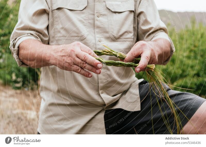 Erntehelfer mit Espartogras beim Korbflechten Mann Weben esparto Gras Kunstgewerbler Landschaft Handwerk Natur Fokus Arbeit Konzentration männlich lässig Sehne