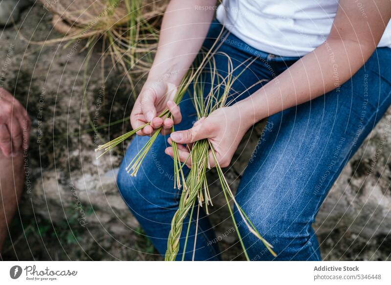 Frau nutzt Espartogras in der Natur Weben Korb esparto Gras Kunstgewerbler Landschaft Handwerk Arbeit lässig Sehne Kleinunternehmen ländlich Wehen reif