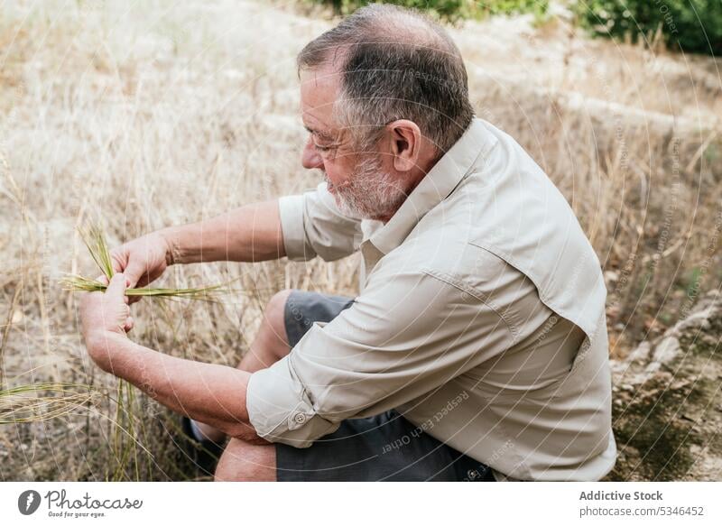 Älterer Mann verwendet Espartogras beim Korbflechten Weben esparto Gras Kunstgewerbler Landschaft Handwerk Natur Fokus Arbeit Konzentration männlich lässig