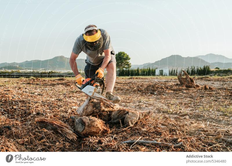 Anonymer Landwirt schneidet Brennholz mit Kettensäge auf dem Lande geschnitten Holz Landschaft Feld vorbereiten Mann Kofferraum männlich Baum Berge u. Gebirge