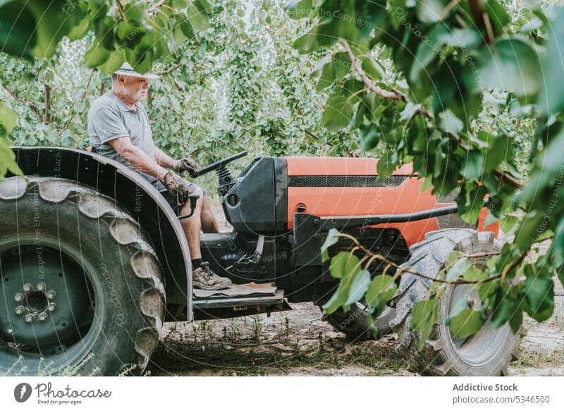 Älterer Mann fährt Traktor auf einem Bauernhof Laufwerk Obstgarten Landwirt Sommer Baum Ackerbau Arbeit Landschaft männlich älter Senior gealtert Schonung