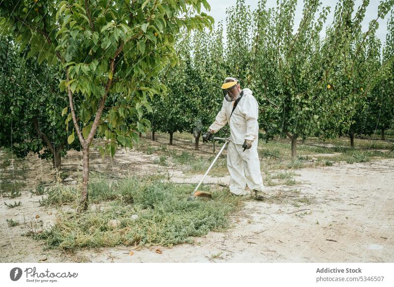 Älterer Mann mäht Gras mit Freischneider Landwirt geschnitten Garten Landschaft Arbeit vorbereiten Sommer männlich älter gealtert Senior Gärtner Wehen Gerät