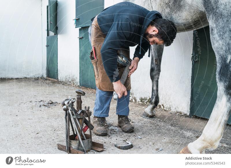 Hufschmied beschlägt Pferd außerhalb des Stalls Mann Hufeisen Pferdestall Ranch befestigen Arbeit nageln männlich Hammer aufschlagen Schuh Säugetier Tier