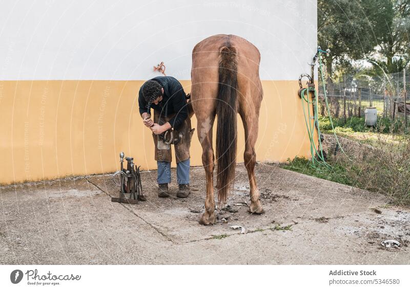 Hufschmied beschlägt Pferd außerhalb des Stalls Mann Hufeisen Pferdestall Ranch braun befestigen Arbeit nageln männlich Hammer aufschlagen Schuh Säugetier Tier