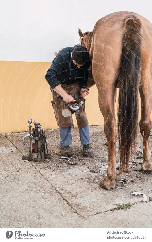 Hufschmied beschlägt Pferd außerhalb des Stalls Mann Hufeisen Pferdestall Ranch braun befestigen Arbeit nageln männlich Hammer aufschlagen Schuh Säugetier Tier