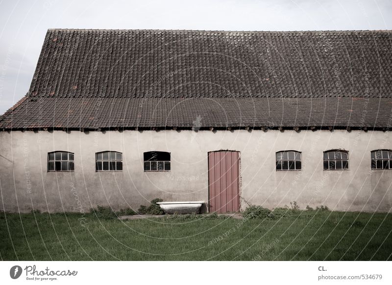 des bauern hof Umwelt Natur Landschaft Gras Wiese Feld Menschenleer Haus Gebäude Mauer Wand Fenster Tür Dach trist Bauernhof Landwirtschaft Viehtränke