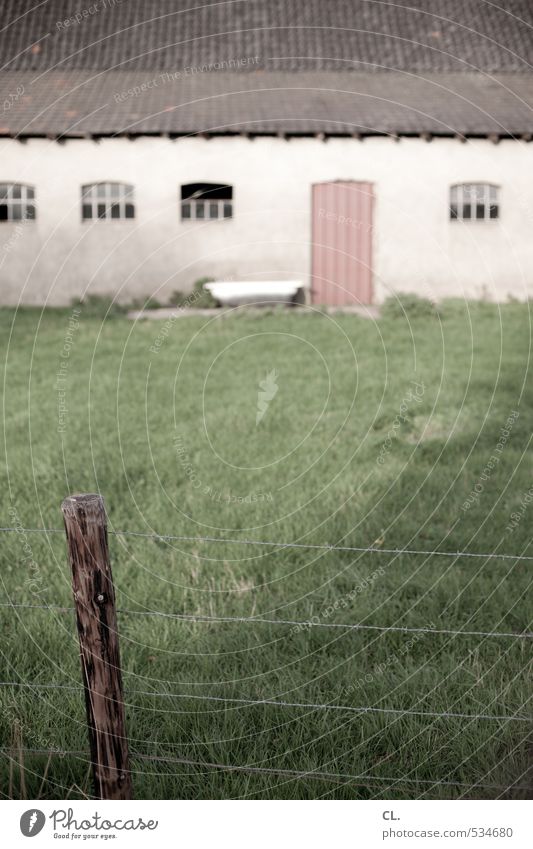 landflucht Umwelt Natur Gras Wiese Haus Ruine Mauer Wand Fassade Fenster Tür Dach trist ländlich Dorf Bauernhof Zaun Zaunpfahl Barriere Scheune Viehtränke