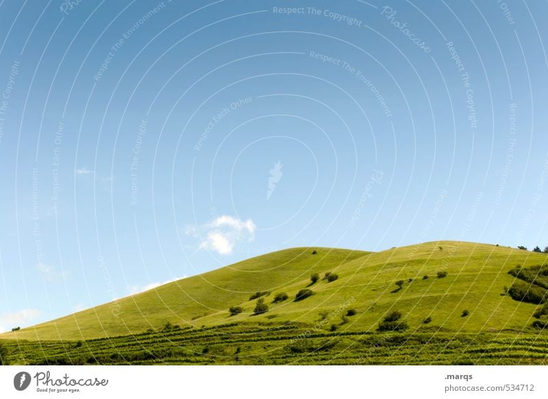 Hügel Ferien & Urlaub & Reisen Natur Landschaft Wolkenloser Himmel Sommer Schönes Wetter Wiese schön blau grün Farbfoto Außenaufnahme Menschenleer