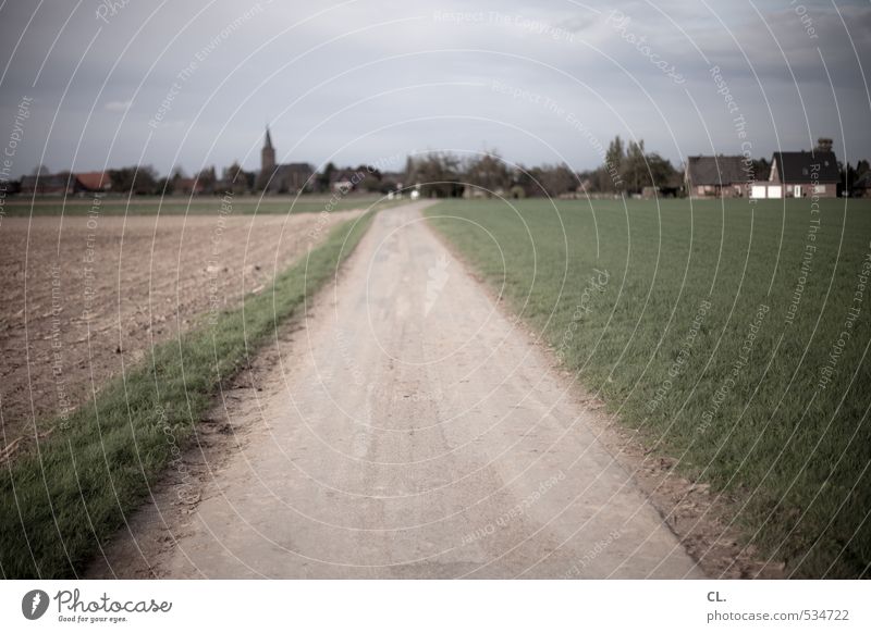 weg Umwelt Natur Landschaft Gras Wiese Feld Verkehr Verkehrswege Straßenverkehr Wege & Pfade Heimweh Beginn Horizont Idylle Perspektive Ziel Heimat Kirche Dorf