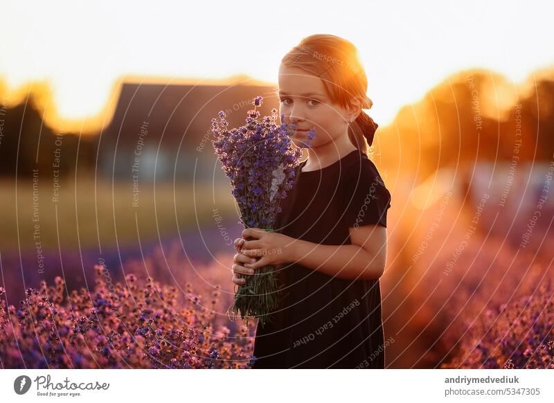 Porträt eines niedlichen Mädchens riecht an einer Lavendelblüte. Ein Kind geht in einem Feld von Lavendel bei Sonnenuntergang. Kind in schwarzem Kleid hat Spaß an der Natur in den Sommerferien Urlaub.