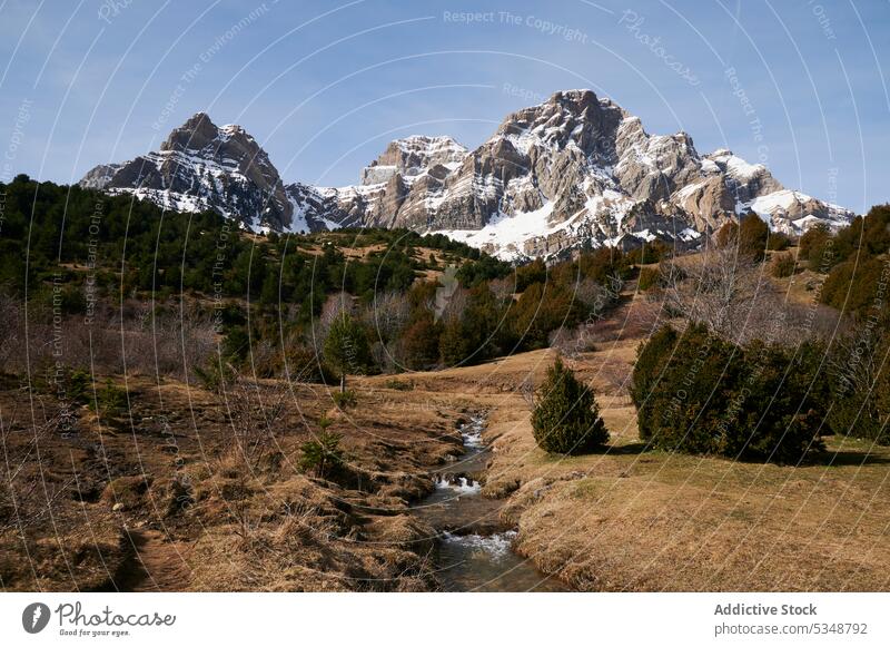 Malerische Aussicht auf felsige Berge und Wald Berge u. Gebirge Baum Berghang Hügel Natur Schnee Landschaft nadelhaltig Kamm Hochland Blauer Himmel Ambitus