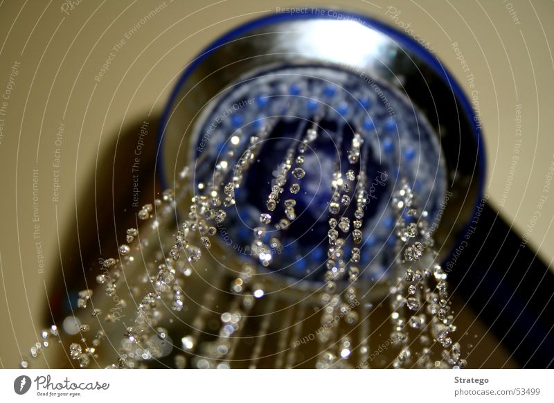 frisches Duschwasser nass kalt heiß Sauberkeit Physik Freude Bad Wasser Dusche (Installation) Klarheit Duschkopf Waschen Wassertropfen Wärme