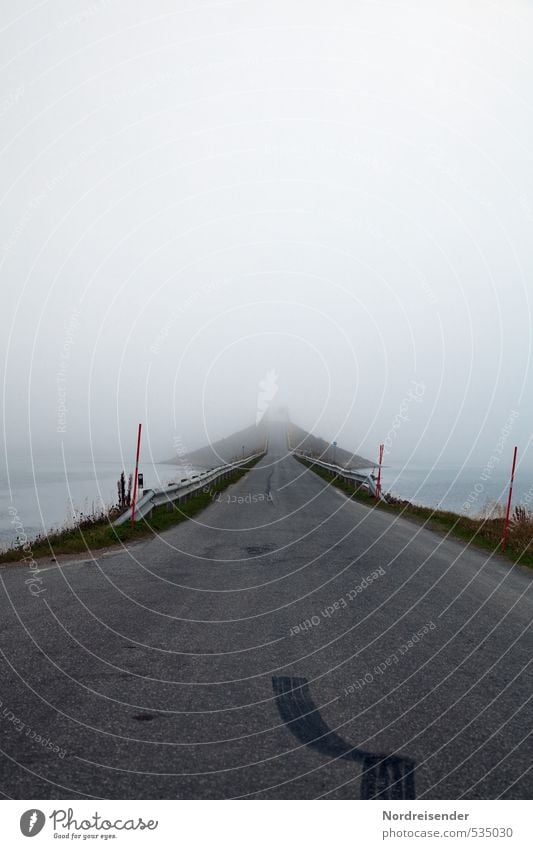 Hasenfuß Abenteuer Güterverkehr & Logistik Zeitmaschine Urelemente Wetter schlechtes Wetter Nebel Regen Meer Brücke Straße Wege & Pfade Zeichen bedrohlich