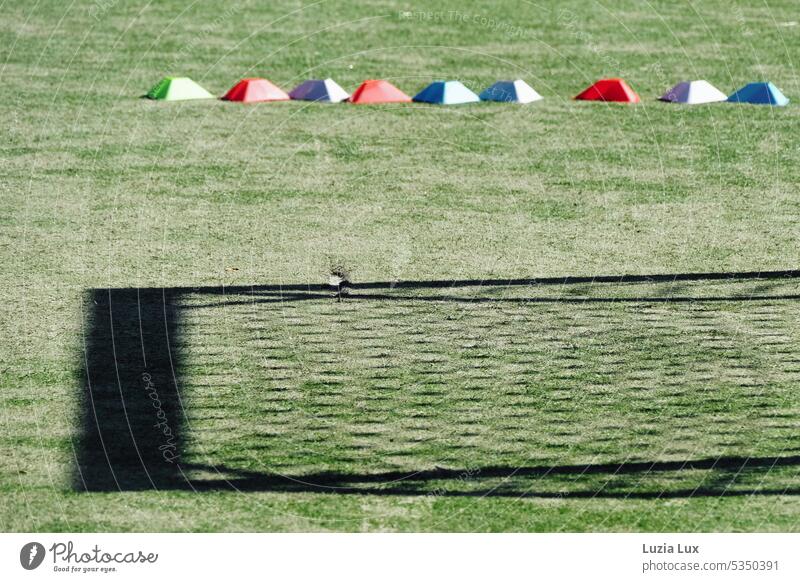 Auf dem Sportplatz bunte Markierungssteller und Schatten vom Netz Bolzplatz Markierungshütchen farbig grün Rasen Fußballplatz Ballsport Spielfeld