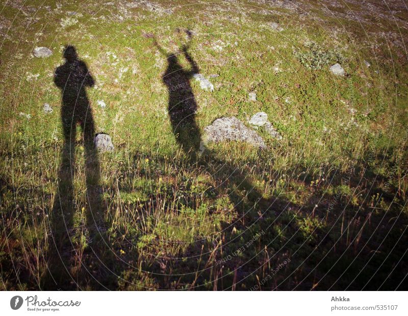 meeting Ferien & Urlaub & Reisen Ausflug Abenteuer Ferne Freiheit Berge u. Gebirge wandern Mensch Leben 2 Natur Wiese Tierpaar Stimmung ästhetisch Beratung