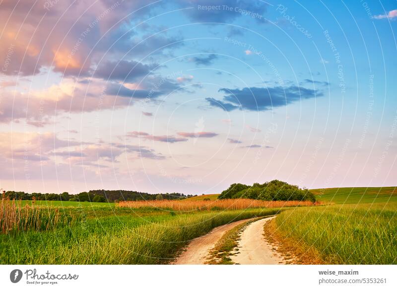 Ländliche Straße in Feldern und Wiesen bei Sonnenuntergang im Sommer. Schöne Landwirtschaft Landschaft mit Bäumen, Hügeln, grünem Gras, Wolken. Dirt leeren Weg in wachsenden Weizen und Getreide Panorama.