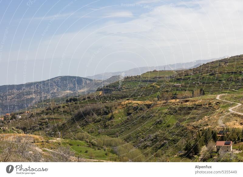 viel Himmel viel Grün ein Haus Landschaft Hügel grün Natur Wiese Umwelt Wolken Gras Menschenleer Außenaufnahme Bäume Schönes Wetter Tag Farbfoto hügelig Feld