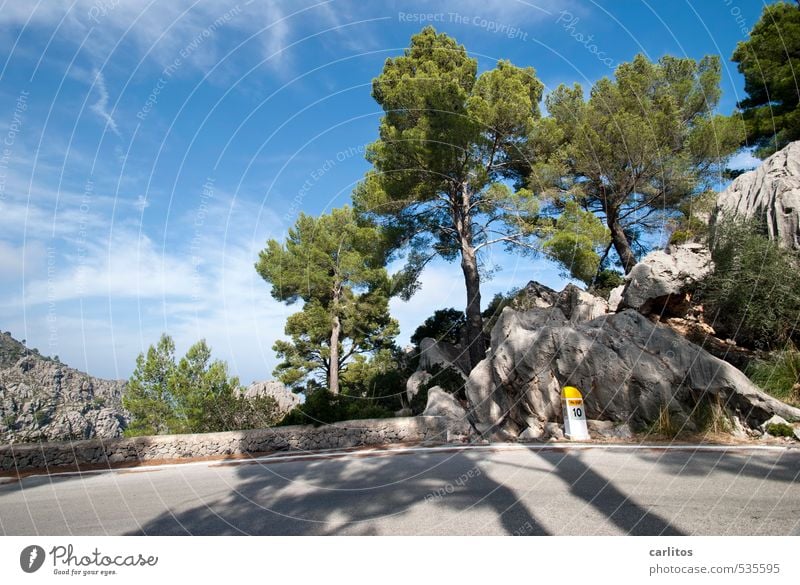 Kilometer 10 Umwelt Natur Landschaft Pflanze Himmel Schönes Wetter Wärme Baum Felsen Berge u. Gebirge Insel ästhetisch Pinie Wald blau grün Straße