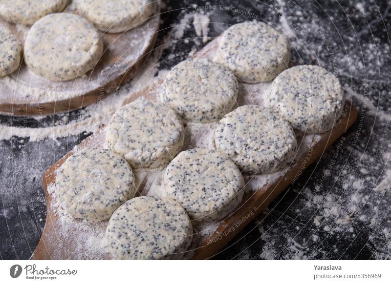 Foto ist kein frittiertes Produkt aus Hüttenkäse und Mohn Küche Frühstück Kalzium Dessert Lebensmittel süß weiß Gesundheit selbstgemacht Sommer Teller