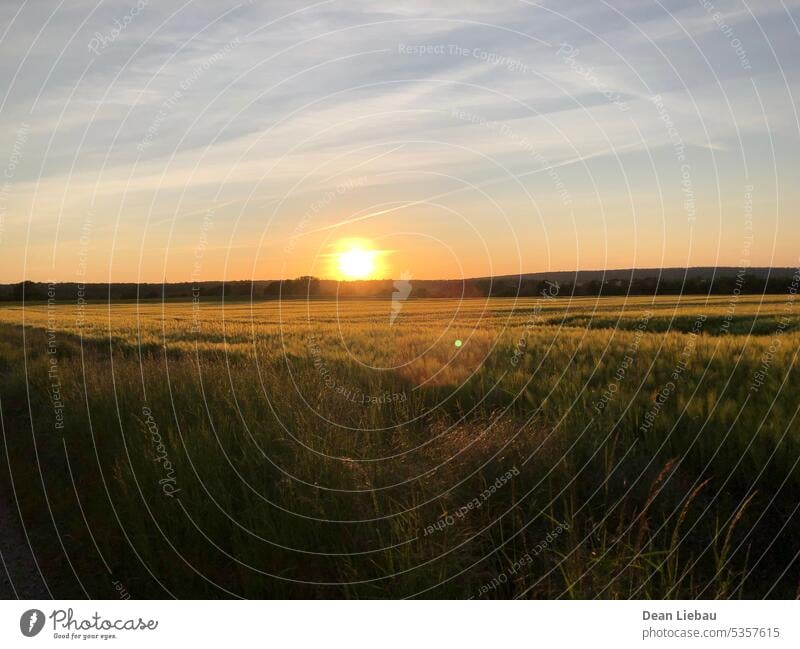 Die Sonne hinterlässt ihr letztes Licht über einem Feld Sonnenuntergang Sommer Himmel warm weich atmosphärisch