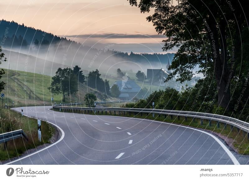 Landstraße morgens Wege & Pfade Straße Verkehr Nebel Landschaft Natur Baum Umwelt Ausflug Straßenverkehr Verkehrswege Tag Ziel fahren Klima