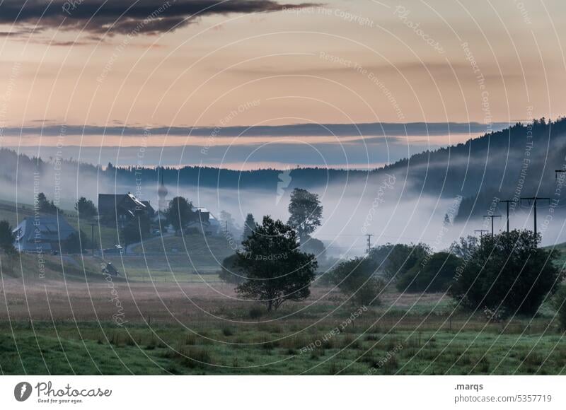 Dorf im Morgennebel Morgendämmerung Himmel ländlich Ferien & Urlaub & Reisen Klima Umwelt Baum Natur Landschaft Nebel Schwarzwald Wald mystisch Schönes Wetter