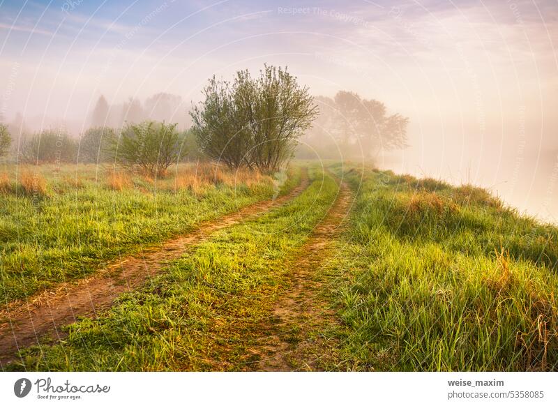 Landschaft mit Sonnenaufgang über Fluss. Morgen schöne Wolken am Himmel. Wasser Reflexion Szene. Ländlicher Feldweg am Flussufer. Calm nebligen Wetter. Green eingereicht und Wiese.