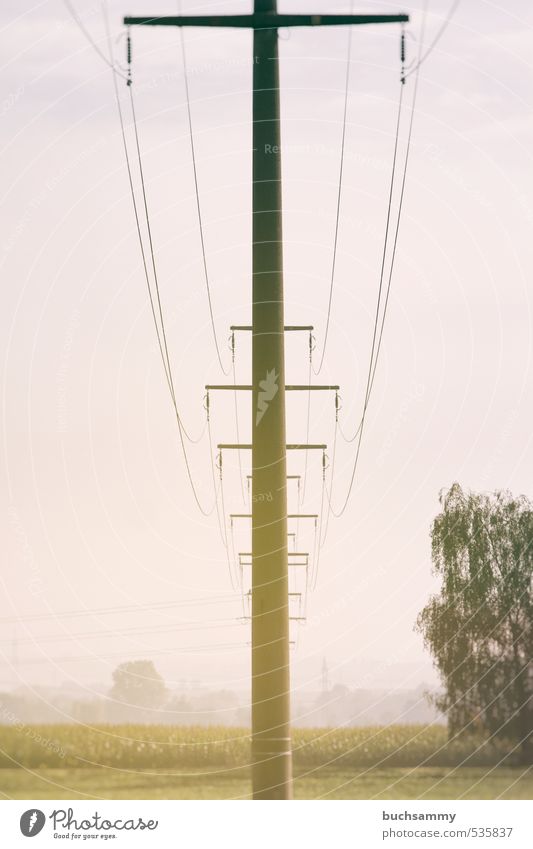 Freileitungsmasten im Morgendunst Energiewirtschaft Technik & Technologie Erneuerbare Energie Natur Landschaft Herbst Schönes Wetter Baum Wiese Feld Bauwerk