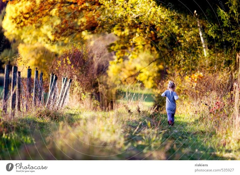 mit strammen schritten durch den herbst :) Mensch feminin Kind Mädchen Kindheit 1 3-8 Jahre Umwelt Natur Landschaft Sonnenaufgang Sonnenuntergang Sonnenlicht