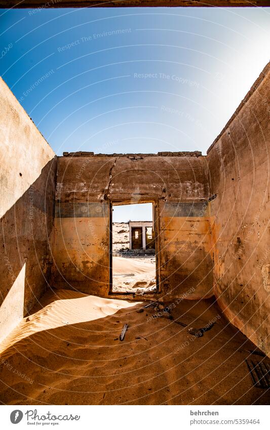 auch löcher halten nicht ewig | es braucht schon auch wände Düne Wärme Himmel Afrika Namibia Wüste Fernweh Farbfoto Abenteuer Ferien & Urlaub & Reisen besonders