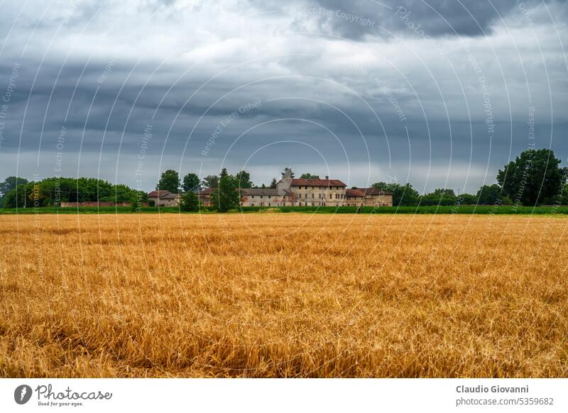 Ländliche Landschaft bei Borgarello, Provinz Pavia Europa Italien Juni Lombardei pavia Ackerbau Farbe Tag Bauernhof Feld Haus alt Fotografie ländlich Frühling