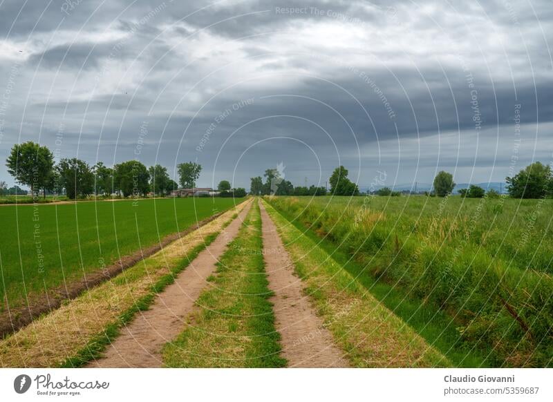 Ländliche Landschaft bei Prado, Provinz Pavia Europa Italien Juni Lombardei pavia Ackerbau Farbe Tag Bauernhof Feld Haus alt Weg Fotografie ländlich Frühling