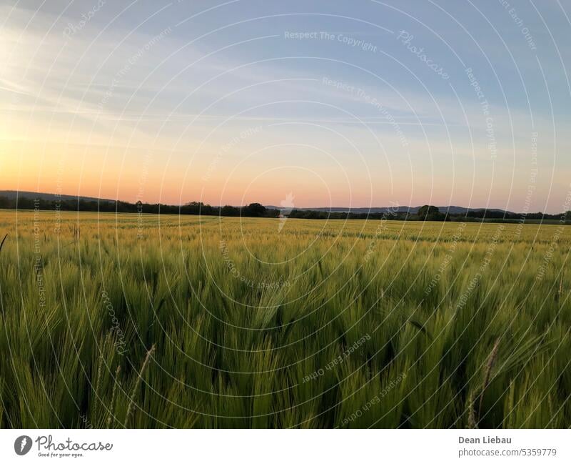 Feld bei Sonnenuntergang weich Licht Abend Himmel warm