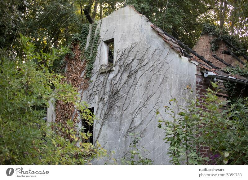 Verlassenes Haus abrissreif Zerstörung Wandel & Veränderung Vergangenheit lost places Vergänglichkeit Verfall Militärgebiet stille häuserkampf Ruinenstadt